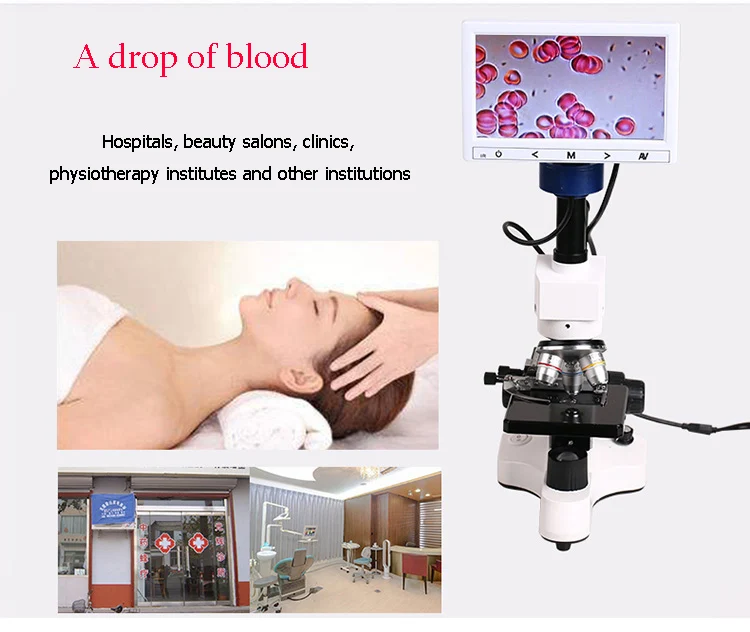 Professional Biological Microscope 400X with 3 Inches LCD Screen For Blood Detection Mites Aquaculture Instrument-26