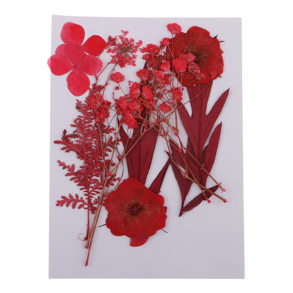 Смешанный красный прессованный высушенный гербарий Цветы DIY искусство ремесла Скрапбукинг Декор