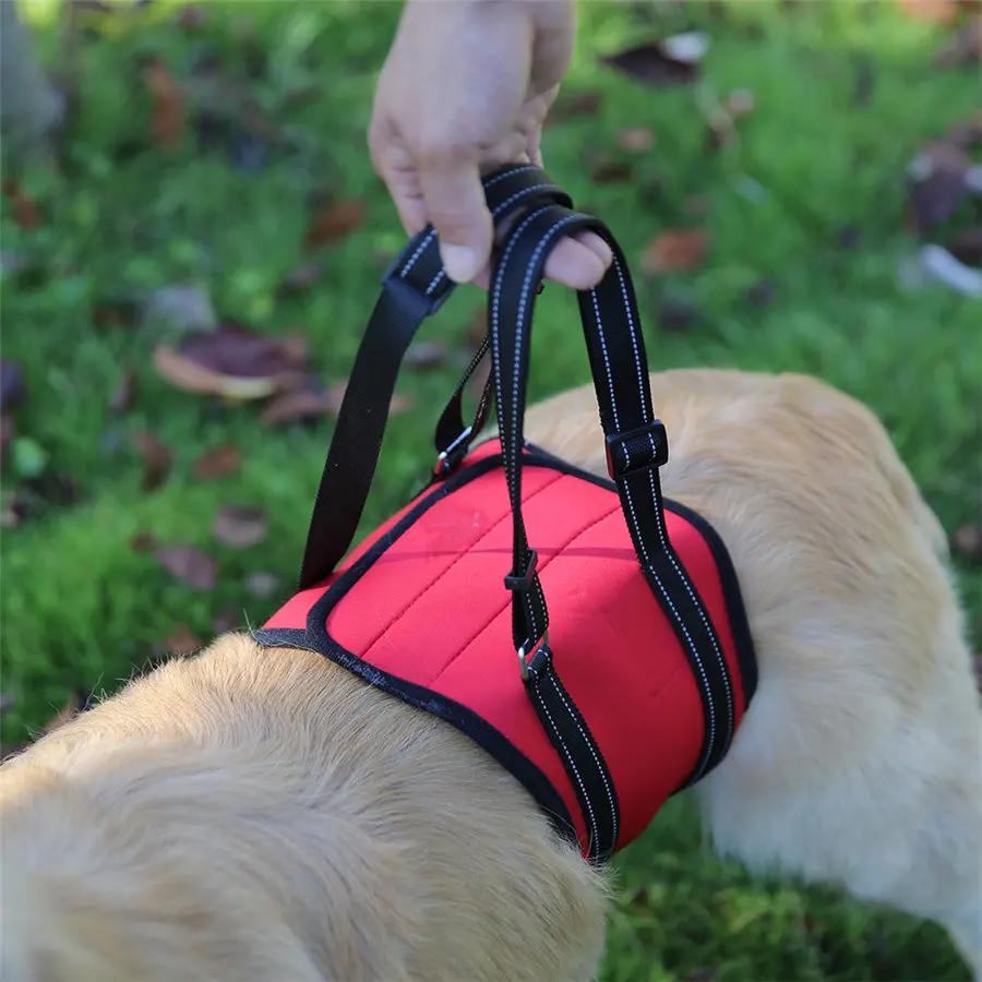 Portable Pet Auxiliary Belt Elderly Disabled Pet Auxiliary Belt Dog