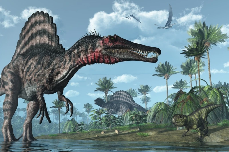 Mural 3d Dinosaurs Wall Mural 3d Wallpaper For Child Bedroom Mural 3d Dinosaurs Wall Mural 3d Wallpaper For Child Bedroom