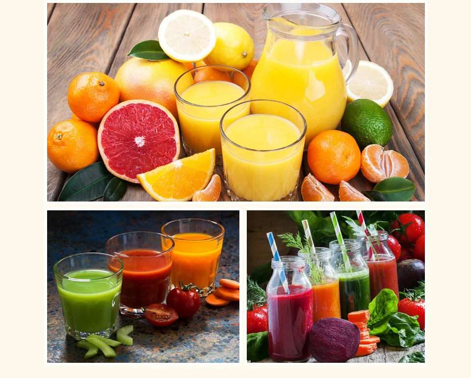 Commerical Hand Press Citrus Commercial Juicer _03