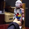 Halloween Tricky Joke Toy Novelty skeleton Simulation Human Organs 3D Puzzles Assembled Scary Human Body Model Toys ► Photo 3/6