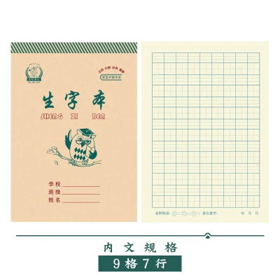 10 шт китайские тетради для занятий персонажами китайские ручки Карандаш тетрадь для каллиграфии для детей, размер 18,5 см* 13 см - Цвет: Sheng Zi Ben