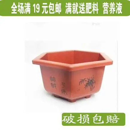 Flowerpots hexagonal plastic pots flower pot height 11 cm width 18 | Дом и сад
