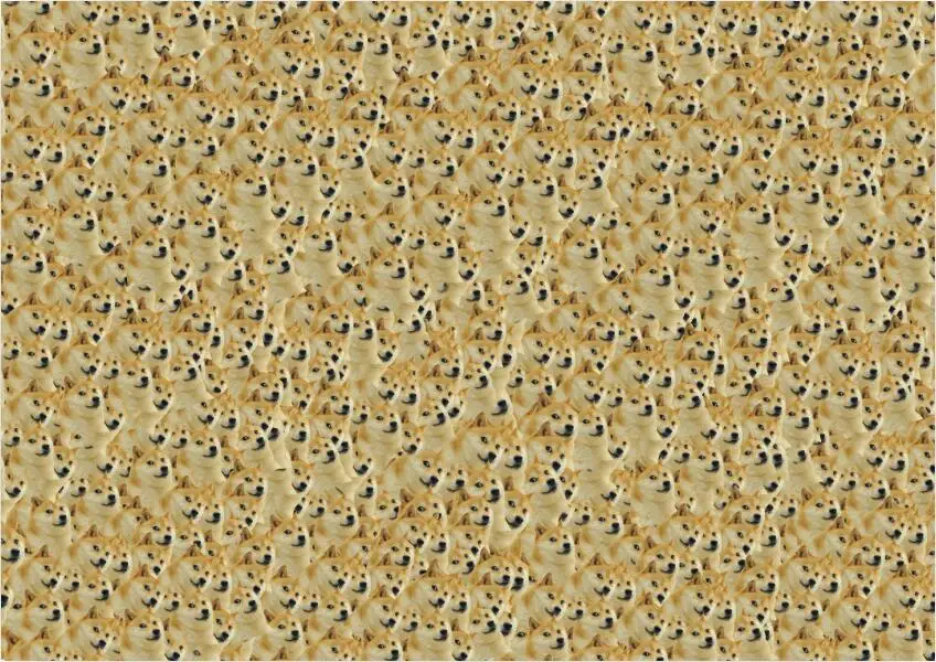 HTB1yqdhKFXXXXbSXpXXq6xXFXXXK