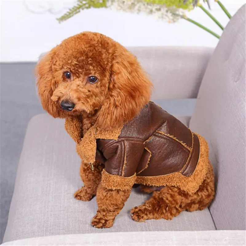 dog coats (5)