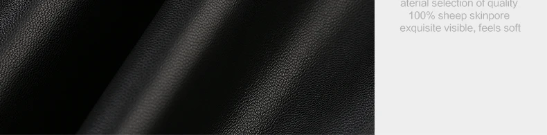 XNPZ16171_16