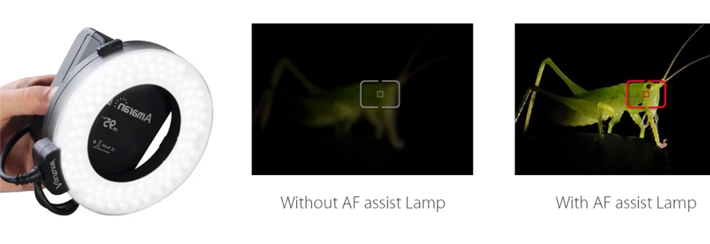 Led-Video-Light-_-Amaran-HC_HN100-Halo-LED-Ring-Flash--Aputure_10