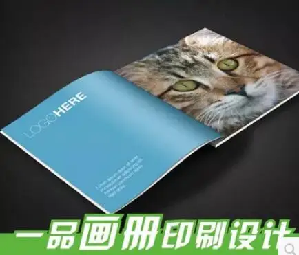 

Cheap printing book/flip coloring book/photo book printing