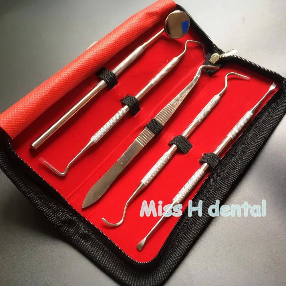 1 set Dental Instruments Hygiene Kit 5 Dentist Tools + 1 tool kit Teeth