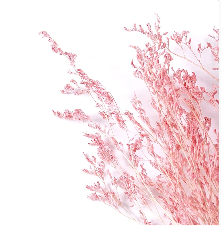 20 шт./Букет розовых сухоцветов, вазы, романтическое украшение, элегантные прессованные цветы, DIY украшения для дома, аксессуары для рабочего стола