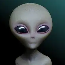 N***C