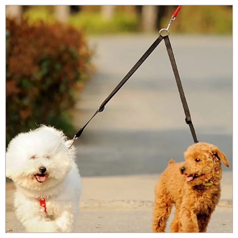 

Dog Rope Two Dog Chain Small Dog Supplies Teddy Double Head Hook Pet Traction Rope Pull Two
