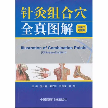

illustration of combination points Chinese-English acupuncture massage learning book free shipping