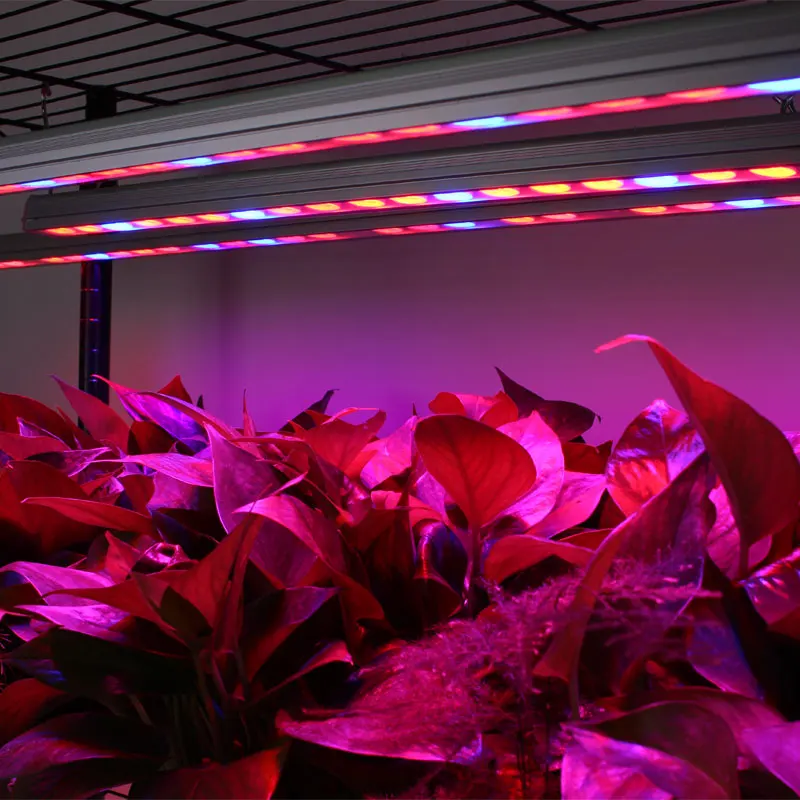Barra de Luz para Estufa Planta de Crescimento da Flor w à Prova Dwaterproof Água Led Crescer Jardim Interior Comercial Vegetal Luzes 108 uv ir 19 led grow light bar