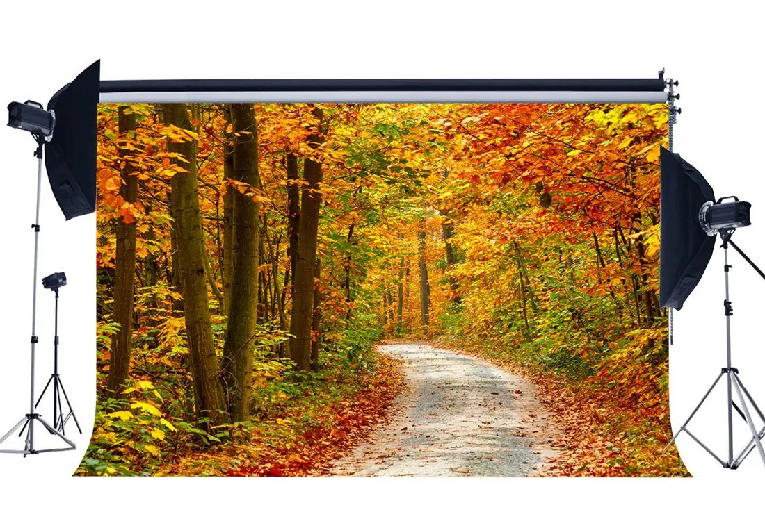 

Autumn Backdrop Jungle Forest Backdrops Rustic Dirt Road Highway Golden Leaves Nature Photography Background