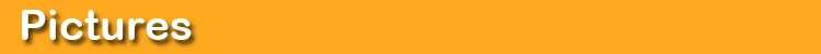 orange 2