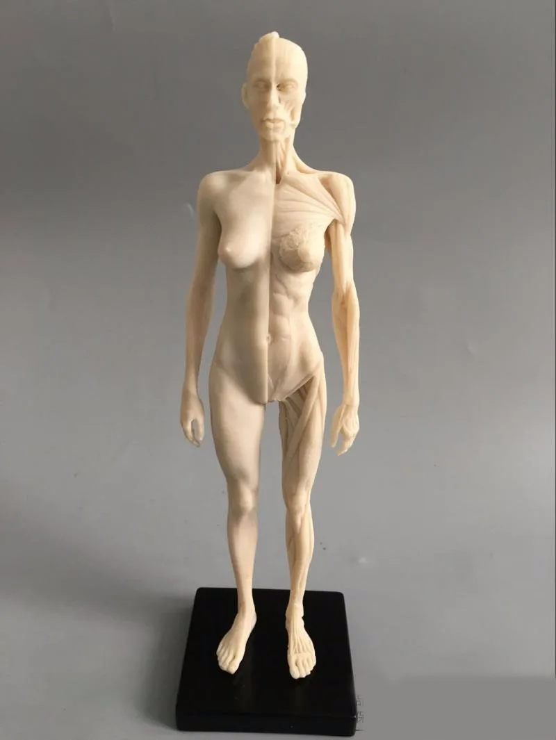 TB2FnC3tXXXXXaVXpXXXXXXXXXX_!!687093950