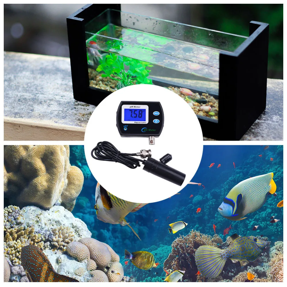 Yard, Garden & Outdoor Living