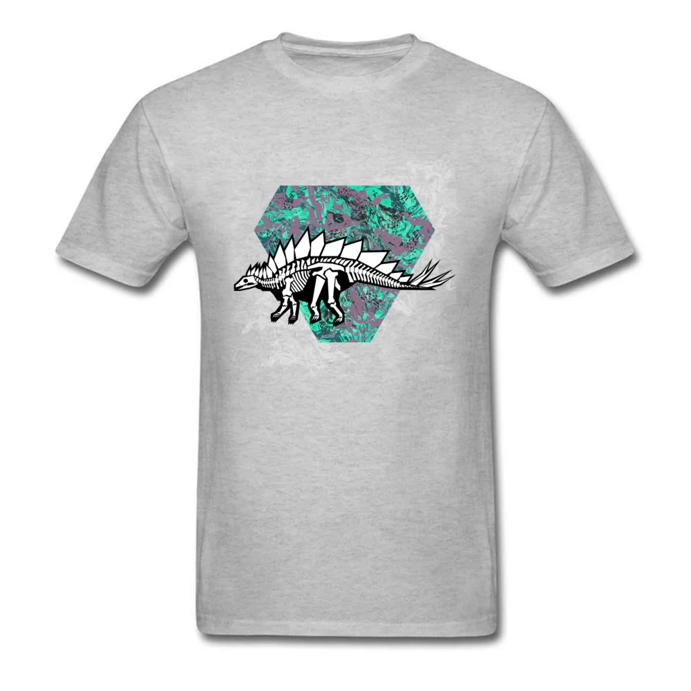 Stegosaurus Fossil_grey