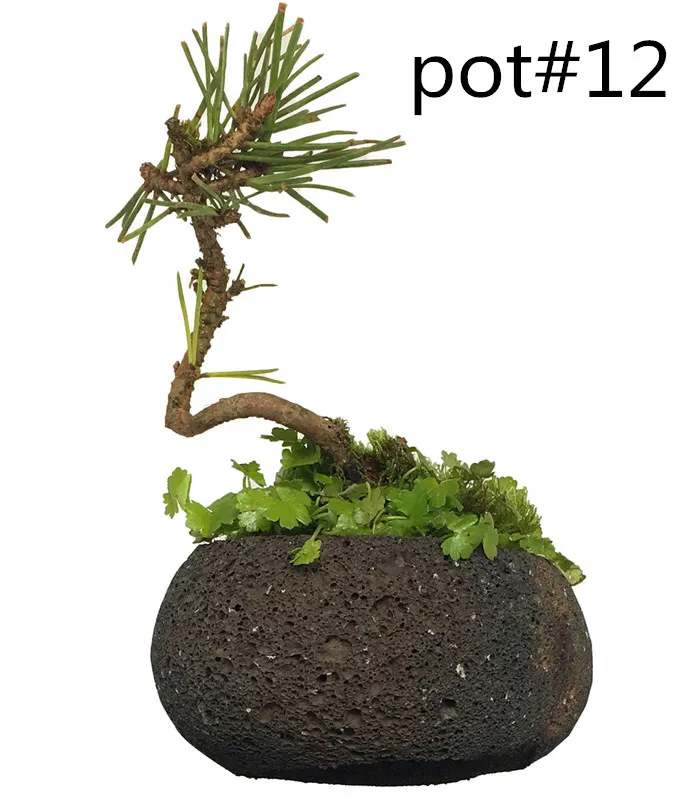 No 12-5 10cm_