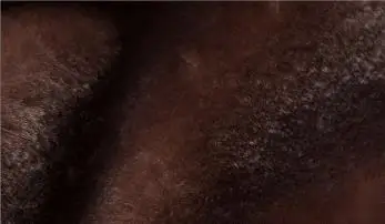 36020180409165212226