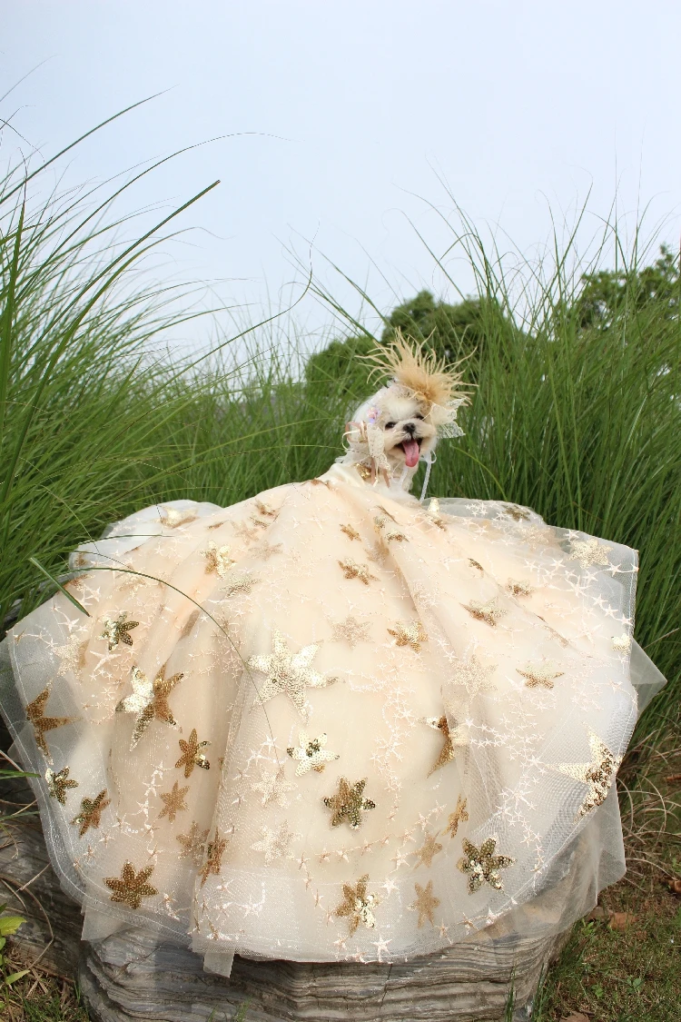 Pet Dog Dress Luxury Trailing Princess Wedding Dress For Small Dogs Golden Embroidery Puppy Clothes Lace Dress Chihuahua Poodle