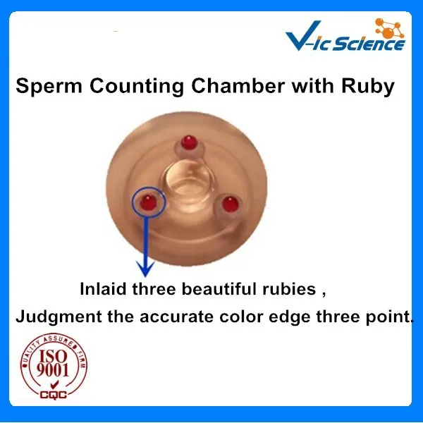 sperm counting slides