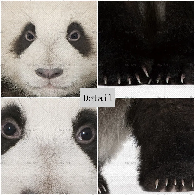 Animal wall art Poster Home Decor picture panda Canvas Painting Unframed prints Giclee Paintings for baby room painting Animal wall art Poster Home Decor picture panda Canvas Painting Unframed prints Giclee Paintings for baby room painting