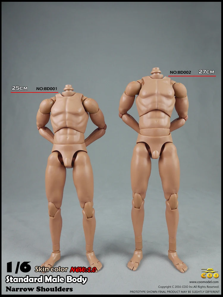 COOMODEL COO 1/6 scale Muscle Male Figure Body 10.6" Tall BD004 Ver 2.0 