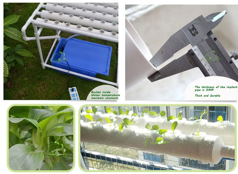 Балкон/сад 72 места Набор для выращивания растений без почвы гидропонная система Крытый сад для овощей, огородная