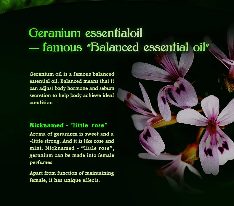 geranium_02