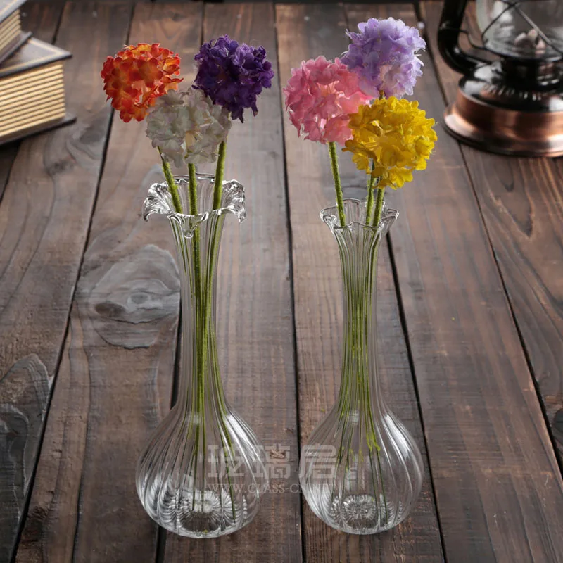 Clear Glass Vase laptop Exquisite hydroponic container modern home