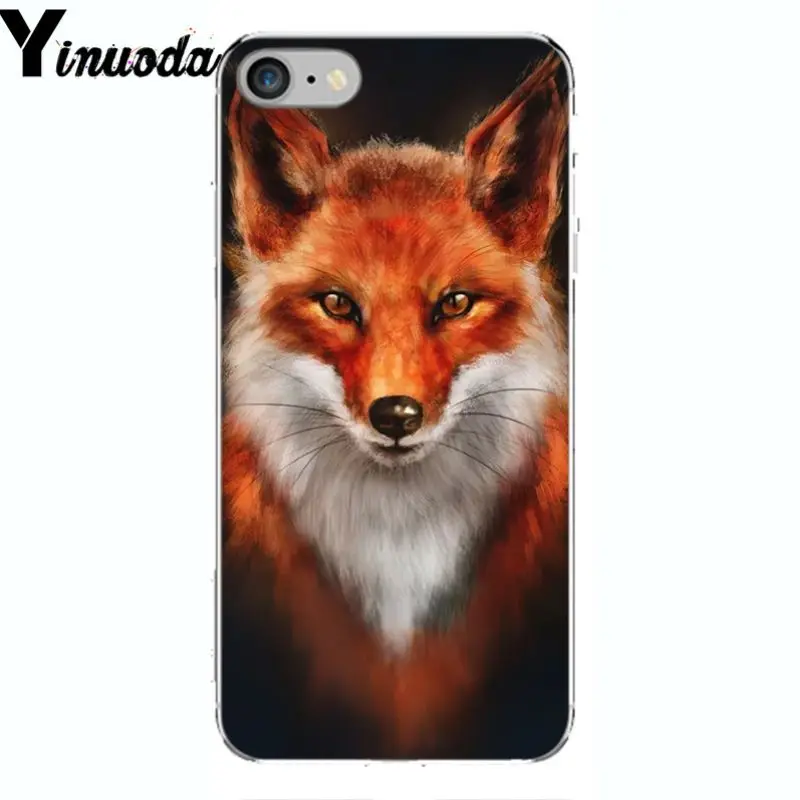 A Fox in The Wild Red Fox 
