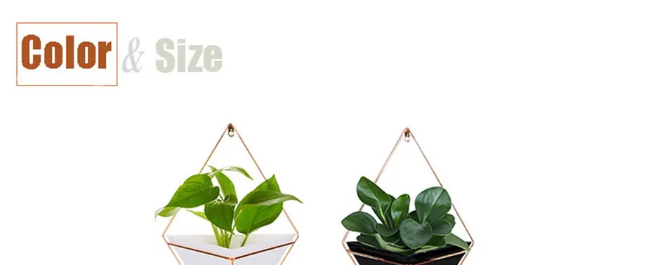 Vases-SIZE_01