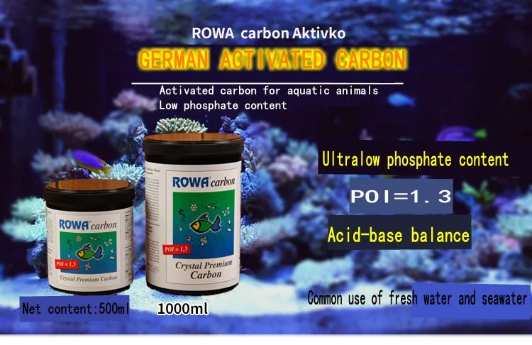 01_conew1