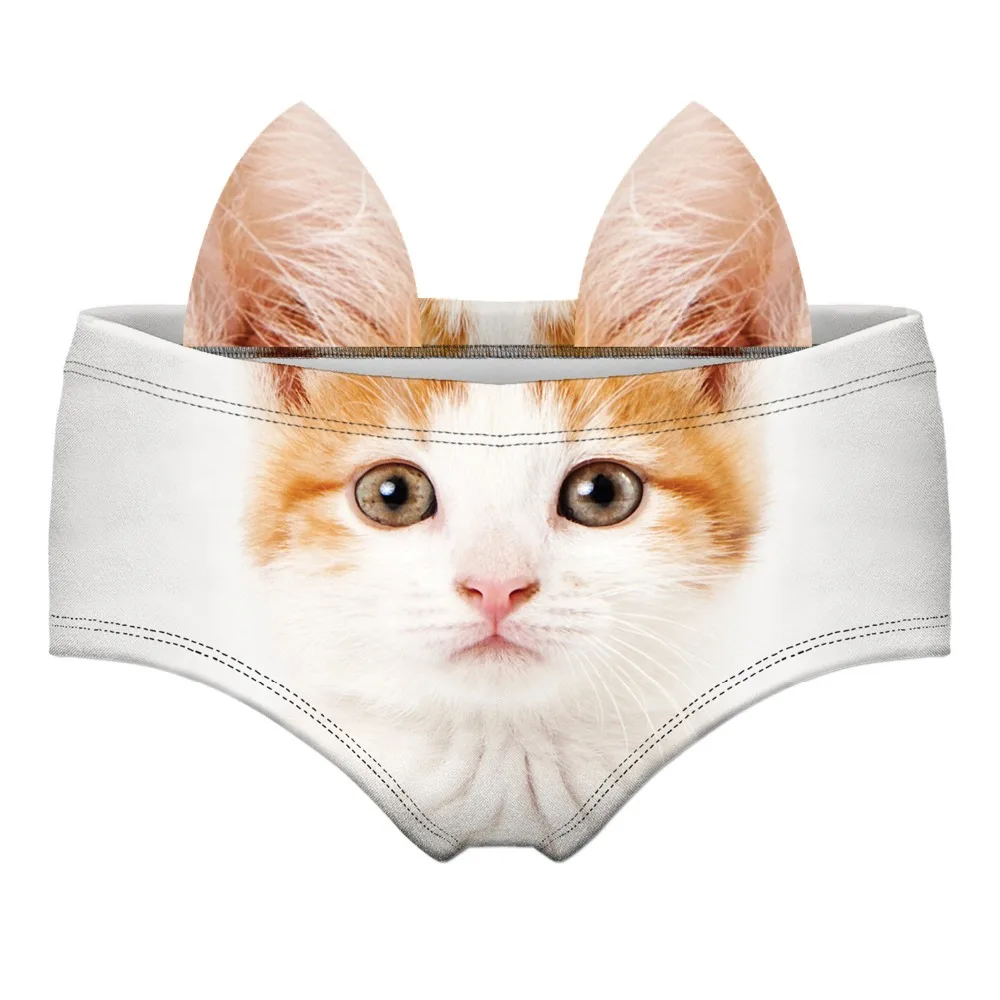 55464 ORANGE CAT wiz front