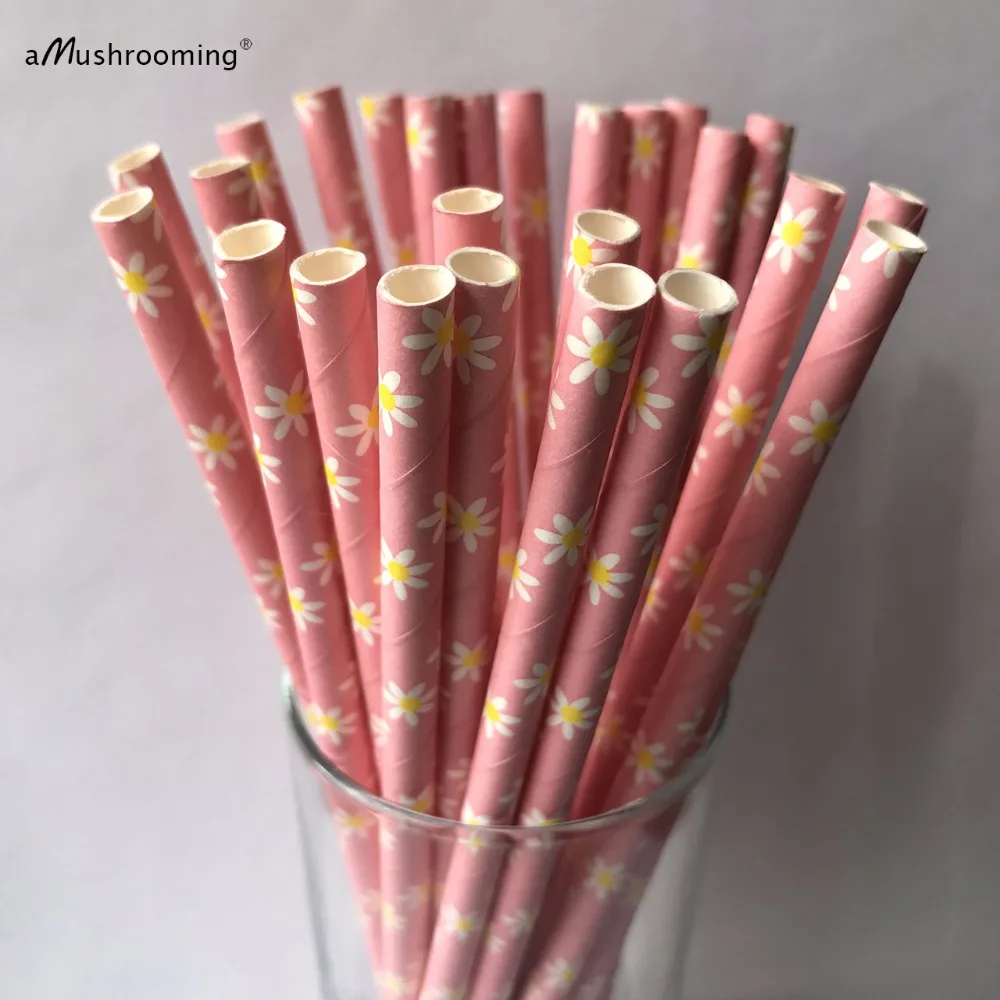 25 Paper Straw. Pink Yellow Daisy Flower. White. Pink Floral Paper