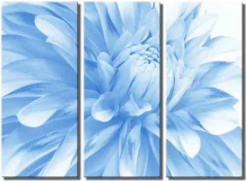 

3 pieces framed Wall Art Picture Gift Home Decoration Canvas Print painting Blue flower series wholesale/10Y-34