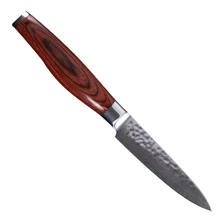 

Damascus Knife 3.5 Inch Paring Knife VG10 Core Beauty Pattern Blade High Grade Kitchen Knife Hammering Pattern Cooking Knife