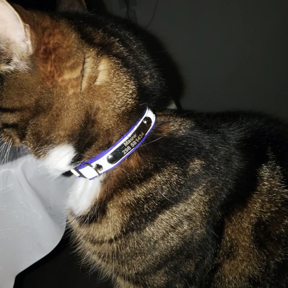 UTB89pY8jHPJXKJkSafSq6yqUXXaB