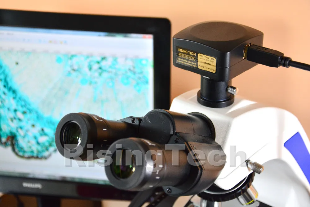 Высокая чувствительность 16MP USB3.0 4/3 дюймов Panasonic сенсор цифровой USB микроскоп камера для Darkfield флуоресцентный микроскоп
