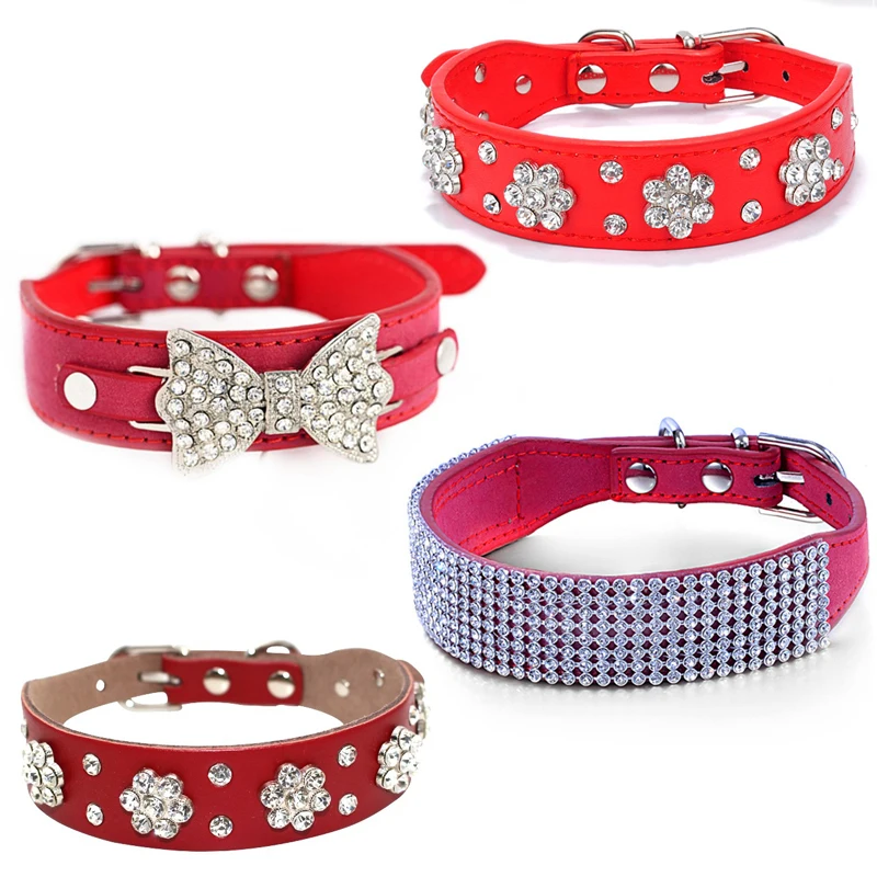 Dogs Collars 1