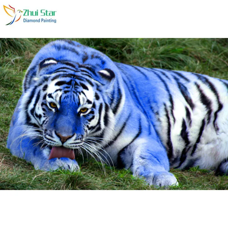 Download 450 Koleksi Gambar Harimau Biru  Gratis