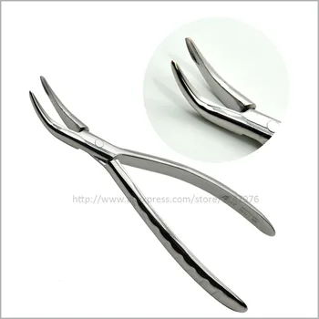 Dental root cutting pliers dentagra dental pliers of minimally invasive extraction and high quality stainless steel Annwa dental