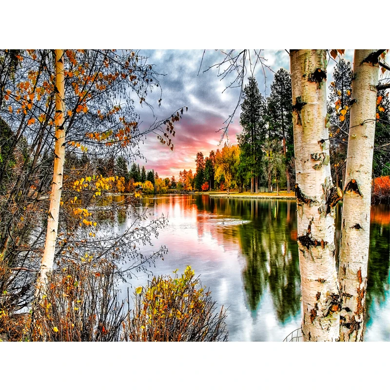 3D поделки алмазов картина Lakeside деревья пейзажи крестом мозаика круглый
