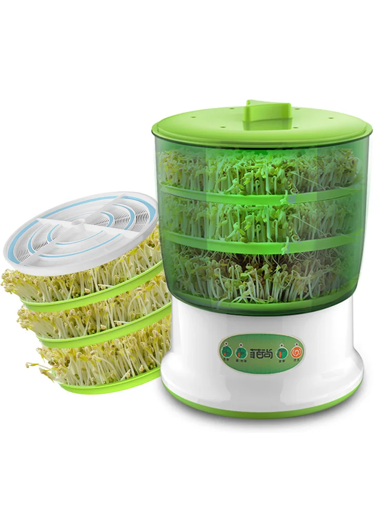 бобы мунг(маш) проростки. Nano sri маш зеленый, 500 гр. маш для проращивания. бобы мунг проростки. маш для проращивания.