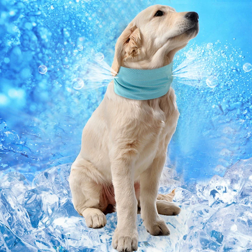 Instant Ice Cooling Dog Bandana Summer Dog Colling Collar Pet Scarf for Small Dogs collar perro for Chihuahua French Bulldog - Цвет: Синий