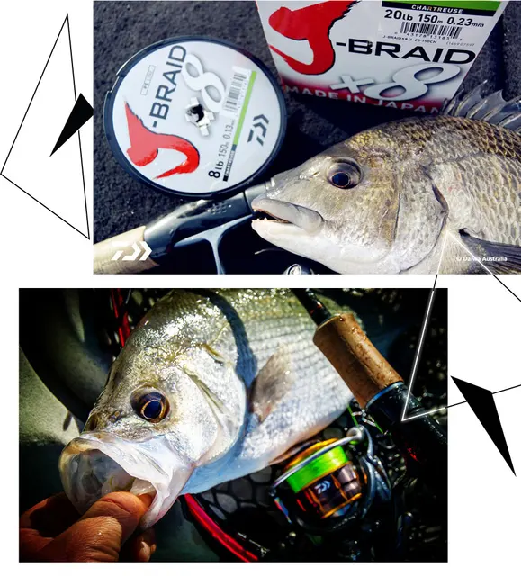 DAIWA 8 pleciona linia wędkarska-Długość 300m 330yds Średnica 0 2 mm-0 42 mm rozmiar 30-100lb Japan PE pleciona linia J-linia warkocz tanie i dobre opinie Rzeka zbiornik staw Ocean Beach wędkowanie jezioro Ocean Boat Fishing strumień Ocean Rock Fshing Zamówienie prywatne DAIWA 8 pleciona linia wędkarska-Długość 300m 330yds Średnica 0 2 mm-0 42 mm rozmiar 30-100lb Japan PE pleciona linia J-linia warkocz tanie i dobre opinie Rzeka zbiornik staw Ocean Beach wędkowanie jezioro Ocean Boat Fishing strumień Ocean Rock Fshing Zamówienie prywatne