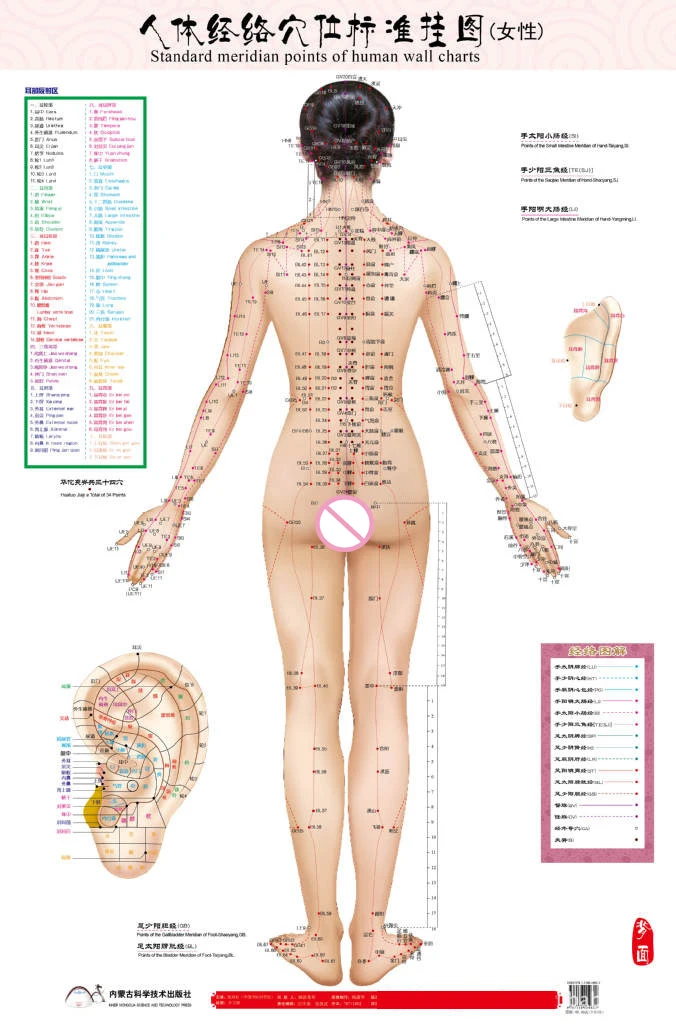 Acupuncture Chart Female